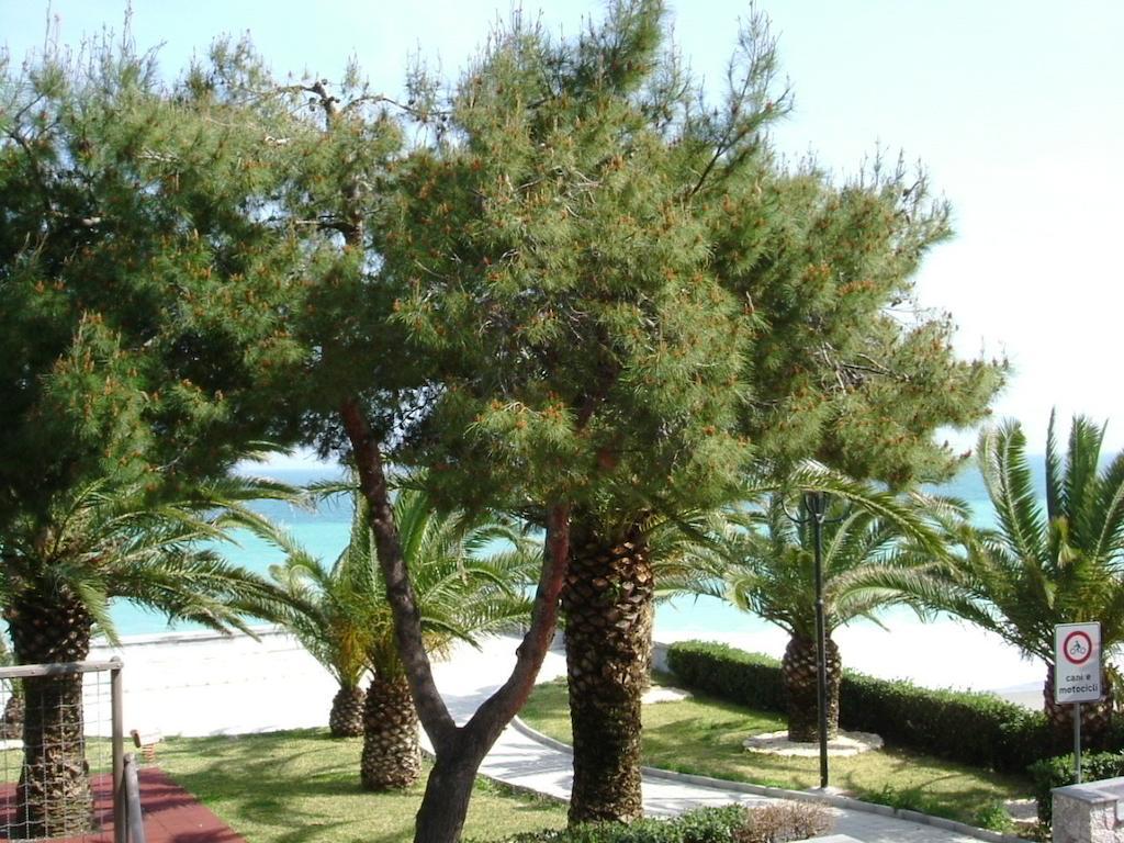 Taormina Beach House Mazzeo Δωμάτιο φωτογραφία